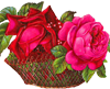 footer-gallery