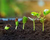 footer-gallery