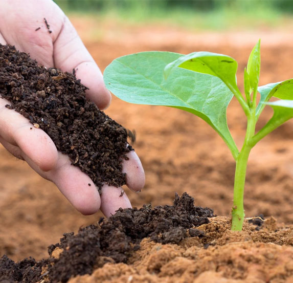 Artic-Organic-Compost-Vermi-Compost-Madurai