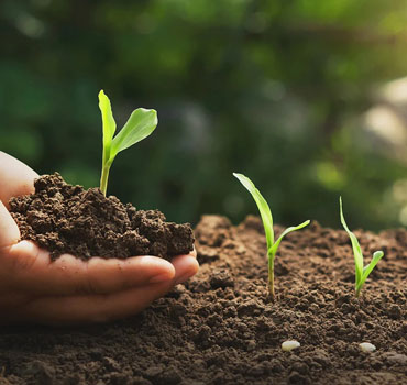 Artic-Organic-Compost-Vermi-Compost-Madurai