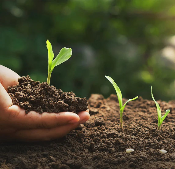 Artic-Organic-Compost-Vermi-Compost-Madurai