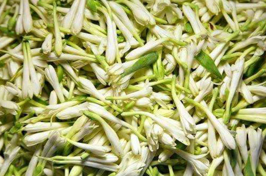 Artic-Overseas-Tuberose-Concrete-Madurai