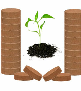 Coir-Products