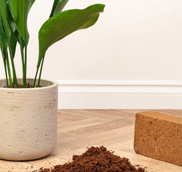 Coir-Peat-Blook-Artic-Overseas-Madurai